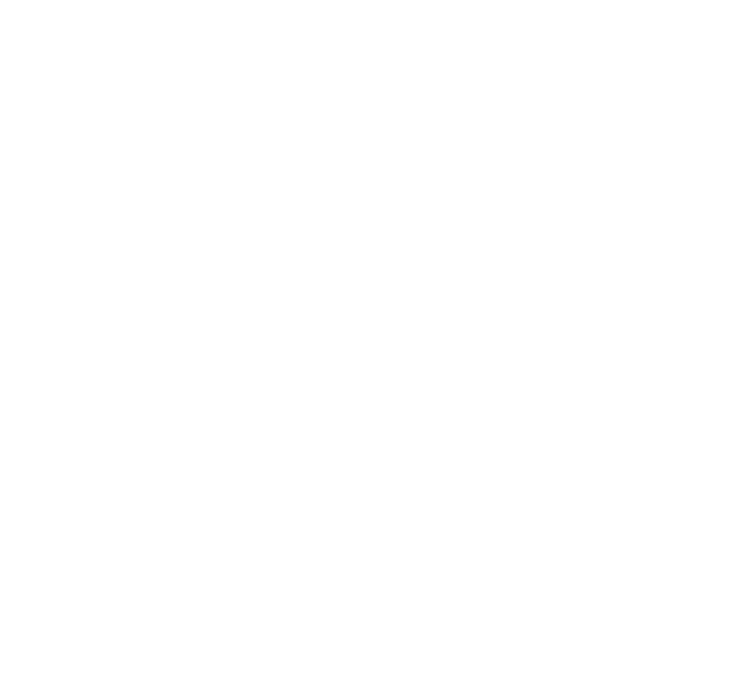 Genki Poke