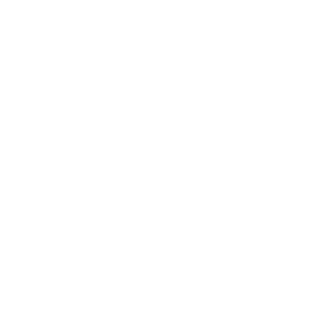 Zeiss Vision